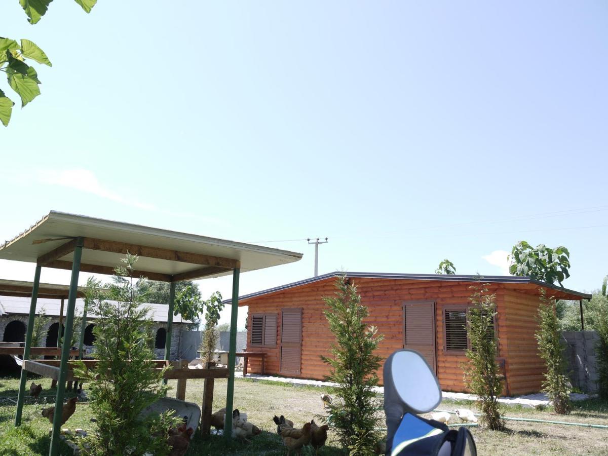 Windmill Gesthouse & Grill * Shkoder