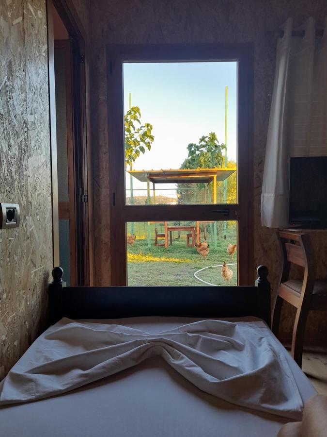 Windmill Gesthouse & Grill Campsite Shkoder