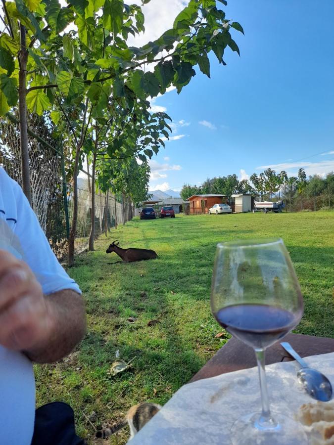 Windmill Gesthouse & Grill Campsite Shkoder